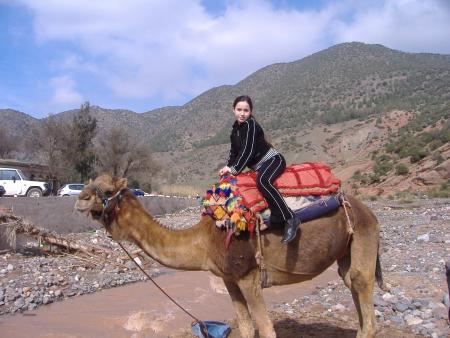  lkal3a
